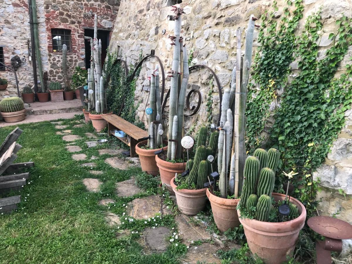 Case Di Vetulonia Castiglione della Pescaia Bagian luar foto