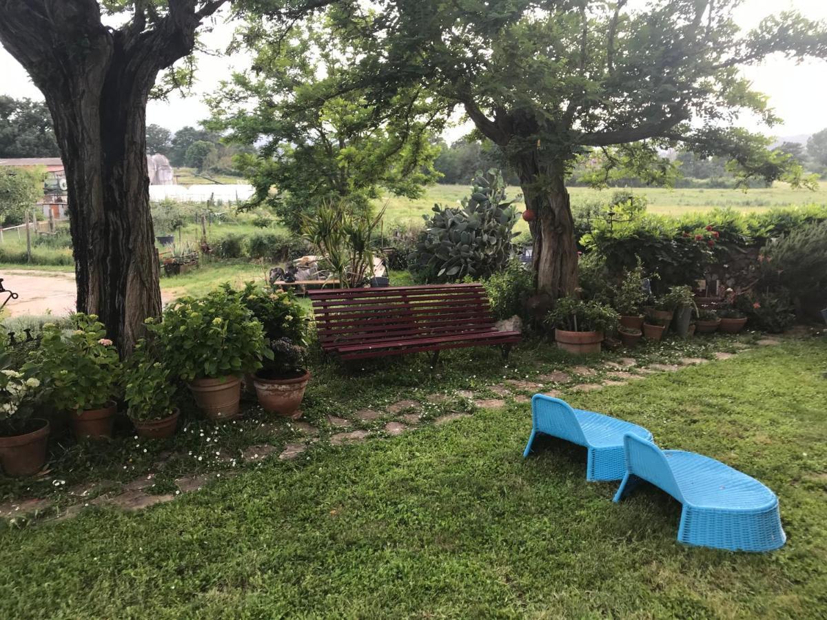 Case Di Vetulonia Castiglione della Pescaia Bagian luar foto